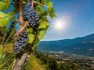 Appartamento per vacanze Naturns Ambiente 14