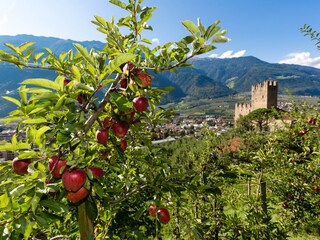 Appartamento per vacanze Naturns Ambiente 13