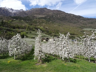 Appartamento per vacanze Naturns Registrazione all'aperto 4