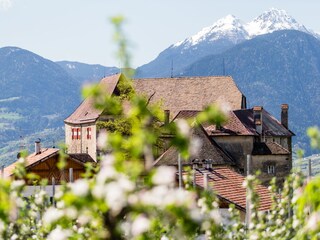 Appartamento per vacanze Schenna Ambiente 24