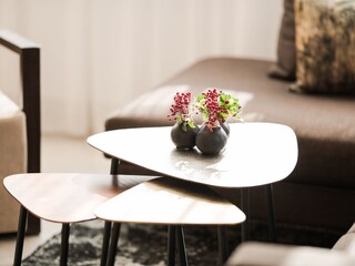 Appartamento per vacanze Schenna Caratteristiche 19