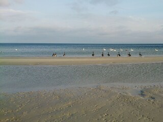 Ferienhaus Wohlenberg Umgebung 19