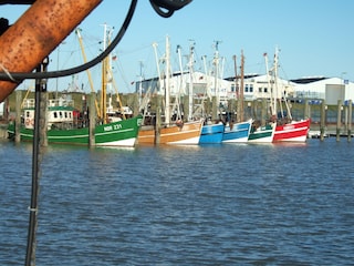 Hafen Norddeich