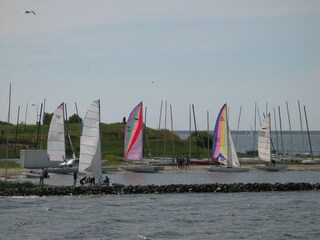 Vakantiehuis Brouwershaven Omgeving 21