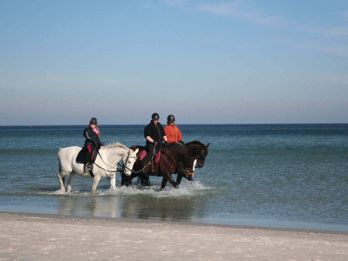 Reiten am Strand