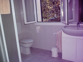 Appartamento per vacanze Dolcedo Caratteristiche 16