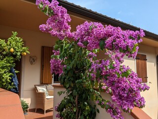 Appartamento per vacanze Brenzone sul Garda Caratteristiche 25