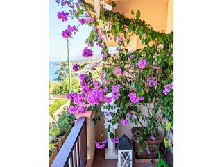 Vakantieappartement Brenzone sul Garda Kenmerken 23