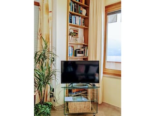 Satellite-TV with bookshelf