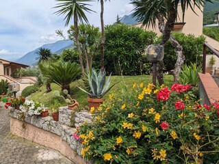 Vakantieappartement Brenzone sul Garda Buitenaudio-opname 10