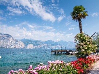 Appartamento per vacanze Brenzone sul Garda Ambiente 31