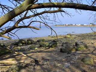 Ferienhaus Neujellingsdorf Außenaufnahme 32