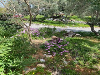 Villa Sisi Außenaufnahme 3