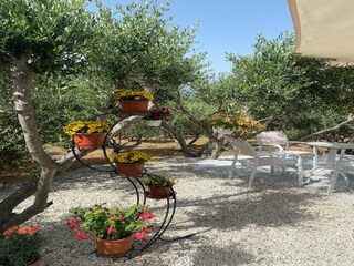 Villa Sisi Registrazione all'aperto 6