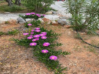 Villa Sisi Registrazione all'aperto 14