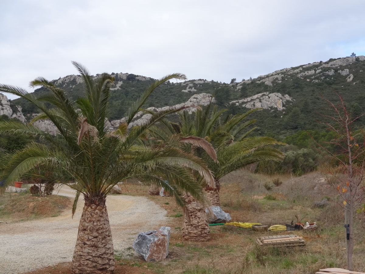 Casale Portel des Corbières Registrazione all'aperto 1