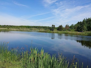 Ferienhaus Trend  23