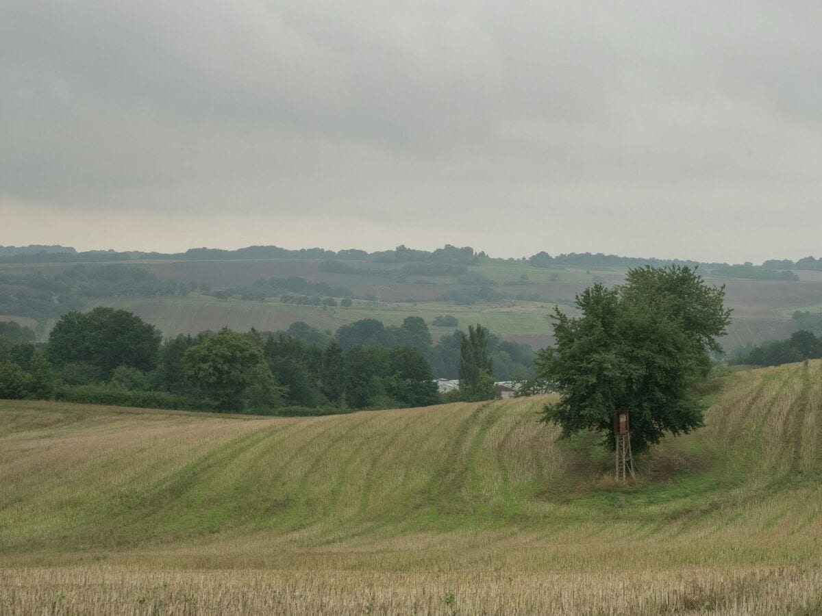 Bungalow Neustadt Harz Umgebung 11