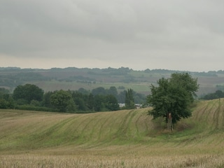 Bungalow Neustadt Harz Umgebung 16
