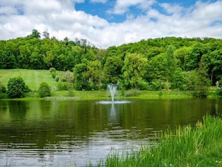 Bungalow Neustadt Harz Omgeving 31