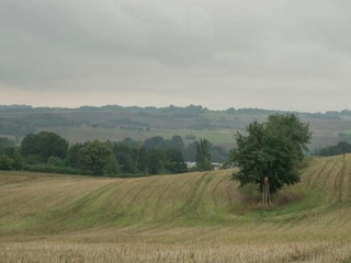 Bungalow Neustadt Harz Omgeving 13