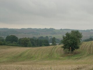 Bungalow Neustadt Harz Umgebung 13