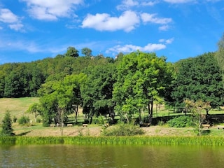 Bungalow Neustadt Harz Omgeving 23