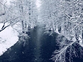 Bungalow Neustadt Harz Environnement 29