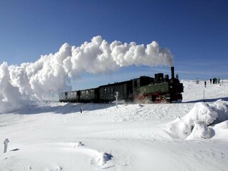 Bungalow Neustadt Harz Umgebung 27