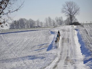 Bungalow Neustadt Harz Omgeving 28