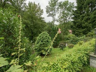 Bungalow Neustadt Harz Buitenaudio-opname 4