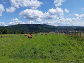 Bungalow Neustadt Harz Ambiente 23