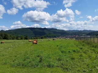 Bungalow Neustadt Harz Ambiente 27