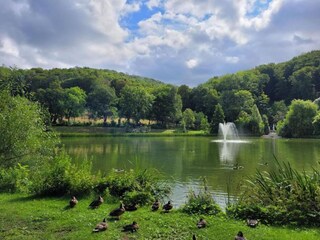 Bungalow Neustadt Harz Environnement 25