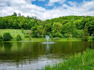 Bungalow Neustadt Harz Omgeving 33