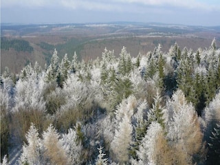 Bungalow Neustadt Harz Umgebung 33