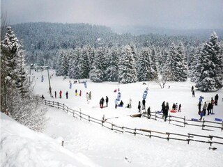 Bungalow Neustadt Harz Omgeving 33