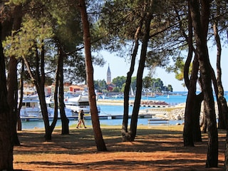 Appartamento per vacanze Novigrad (Istrien) Ambiente 17