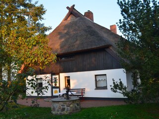 Ferienhaus Wieck Außenaufnahme 6