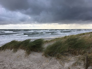 Darß im Herbst/Nordstrand