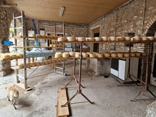 Besuch auf dem Bauernhof