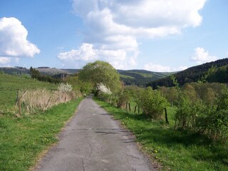 Casa de vacaciones Olsberg Entorno 17