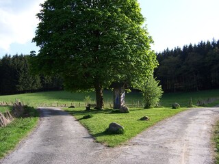Vakantiehuis Olsberg  18