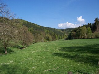 Casa per le vacanze Olsberg Ambiente 19