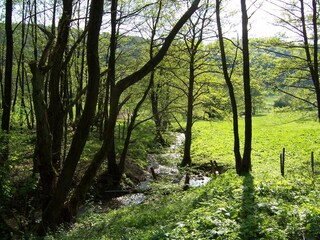 Casa per le vacanze Olsberg Ambiente 21