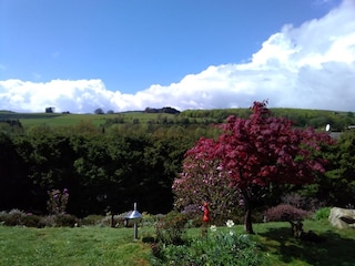 Casa per le vacanze Olsberg Ambiente 22