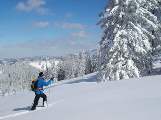 ski touring in the PillerseeTal