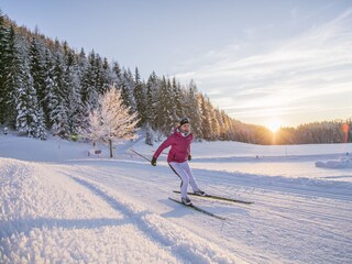 Langlaufen im PillerseeTal