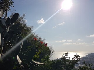 Garten mit Meerblick