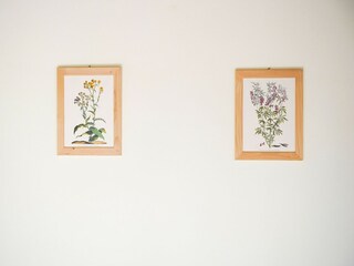 Appartement Caprese Michelangelo  42